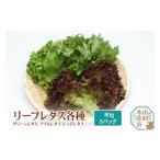 野菜類 リーフレタス各種 80g×5パック