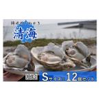 牡蠣 生牡蠣 0510 隠岐のいわがき 清海