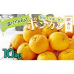 ふるさと納税 みかん・柑橘類 高知県 東洋町 訳ありポンカン 10kg 10kg