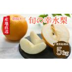 ふるさと納税 梨 千葉県 船橋市 2025年産 船橋のなし 幸水 5kg 4L 5L 8〜12玉 梨 千葉県 船橋市産 高品質 先行予約 桜井農園