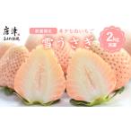 ふるさと納税 いちご 佐賀県 唐津市 数量限定 白いちご 雪うさぎ 冷凍 2kg (佐賀県唐津市産)