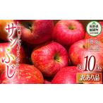 ふるさと納税 りんご 長野県 飯綱町 りんご サンふじ 訳あり 10kg 大垣農園 沖縄県への配送不可 2025年11月下旬頃から2025年12月下旬頃まで順次発送予定 令和7…
