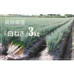 fu.... налог овощи вид лук порей Tottori префектура Yonago город белый лук порей 3kg