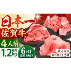 牛肉 ロース 全6回定期便 4人家族向け 佐賀牛 普段使いセットA
