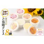 菓子 アイス 長島ご当地アイスセット 8個