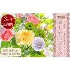 花 苗木 花束 3回定期便 ”松竹梅の梅セット”届いたら