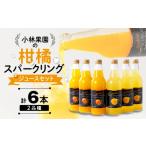 ふるさと納税 炭酸飲
