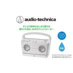 TV オーディオ カメラ テレビの音声がはっきり聞けるお手元…