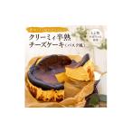 希少 とよ坊かぼちゃんのクリーミィ半熟チーズケーキ
