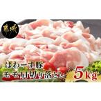 ふるさと納税 豚肉 モモ 宮崎県 都城市 「ぱわーす豚」モモ肩切り落とし5kg_18-6404_(都城市) 都城産 豚肉 豚モモ肩切落とし肉(250g×20パック) 計5キロ ブラ…