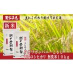 ふるさと納税 無洗米 新潟県 長岡市 J8-7MN101 越の金翔米 新潟県長岡産コシヒカリ無洗米10kg（特別栽培米）