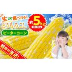 ★2027年 ★富士北麓の気候 水 自然で作られた朝採りトウモロ…