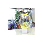 �ӂ邳�Ɣ[�� �G�݁E���p�i �L�����N�^�[ �O�d�� ����s  3-97 �t�����[�o���[���@���Ⴟ���