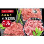 牛肉 モモ 月一のご褒美に 6回定期便 長崎和牛