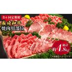 牛肉 バラ カルビ 焼肉大会 6回定期便 長崎和牛