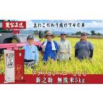 ショッピングふるさと納税 無洗米 ふるさと納税 無洗米 新潟県 長岡市 J8-7MS051A新潟県長岡産　新之助　無洗米5kg