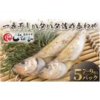 ふるさと納税 干物 福井県 越前町 越前産 はたはた 「一夜干しハタハタ詰合わせ(7〜9尾入り×5パック)」 e15-a056