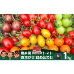 fu.... налог помидор мини помидоры Hyogo префектура .. город сельское хозяйство приятный . помидор случайный 1kg набор 