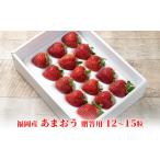 ふるさと納税 いちご 福岡県 朝倉市 いちご あまおう 贈答用 12〜15粒 福岡のいちご 苺 本来の酸味と甘み 配送不可 離島