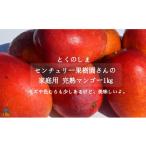 ショッピングふるさと納税 マンゴー ふるさと納税 マンゴー 鹿児島県 徳之島町 1439 先行予約 家庭用 徳之島センチュリー果樹園さんの完熟マンゴー1kg（2〜3玉）( マンゴー フルーツ わけあり 訳…