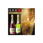 ふるさと納税 ワイン 赤ワイン 岩手県 葛巻町 スパークリングワイン 2本セット ( 赤ワイン 白ワイン ) 甘口 飲み比べ ワイン 詰め合わせ 1226088
