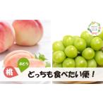 ふるさと納税 もも 岡山県 真庭市  2026年先行予約 旬採り桃とシャインマスカットどっちも食べたい便 ２回便(定期便) (岡山県産) KF-T012-04