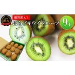 果物の詰合せ 名産とれったひろば ほらどキウイフルーツ9玉