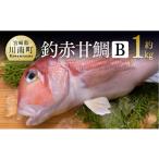 魚貝類 鯛 釣赤甘鯛 B D04409