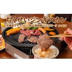 豚肉 ロース ダチョウ ヒレ肉 300g
