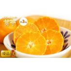 ショッピング甘平 ふるさと納税 みかん・柑橘類 愛媛県 松山市  1月中旬から発送 甘平(かんぺい) 家庭用(優品) 約3kg