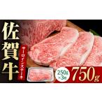 牛肉 サーロイン 佐賀牛 贅沢 サーロインステーキ 250g×3枚
