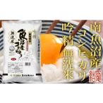 無洗米 南 令和8年産 新米予約 定期便6Kg×全12回