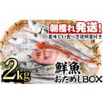 旬の鮮魚等 0153201a 朝獲れ発送