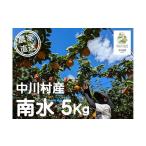 ふるさと納税 梨 長野県 中川村 農家直送 桃沢農園のなし(南水)約5Kg