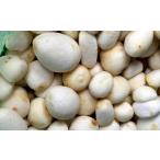野菜類 ねっとりと濃い味わいの里芋〈皮むき〉400g×3パック