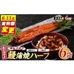 ふるさと納税 うなぎ 鹿児島県 指宿市 鹿児島県産うなぎハーフ6袋ときざみ4袋のセット(奈良/027-1289) うなぎ 鰻 ウナギ 蒲焼 国産 鹿児島県産 鰻 蒲焼 セッ…
