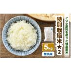 ふるさと納税 無洗米 福井県 あわら市  令和7年産 新米 特別栽培米 コシヒカリ 無洗米 5kg 低農薬 ／ 北陸 福井県産 あわら市 ブランド米 白米 お米 コメ 特栽…