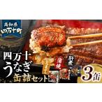 缶詰 瓶詰 魚貝類 四万十うなぎ 缶詰セット