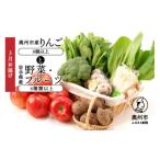 ふるさと納税 りんご 岩手県 奥州市 奥州市産りんごと岩手県産野菜セット 令和8年3月お届け 林檎 フルーツ 野菜 詰め合わせ 冷蔵配送 離島配送不可 AQ020