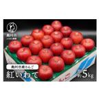 ふるさと納税 りんご 岩手県 奥州市 奥州市産りんご 紅いわて 5kg(14~20玉) 10月上旬以降お届け フルーツ 林檎 冷蔵配送 離島配送不可 AQ024