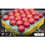 りんご 江刺りんご サンふじ 約5kg