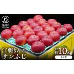 りんご 江刺りんご サンふじ 約10kg