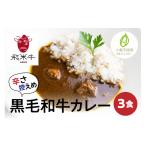 牛肉 8月から寄附額改定 飛米牛グルテンフリーカレー 3食