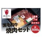 牛肉 セット 飛米牛 焼肉セット 合計500g