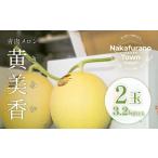 ふるさと納税 メロン メロン青肉 北海道 中富良野町  2026年発送 中富良野産　黄美香（青肉）メロン2玉　3.2kg以上