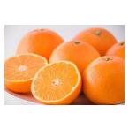 ふるさと納税 みかん・柑橘類 愛媛県 松山市 紅まどんな M ~4L 5kg ご家庭用 愛媛県 松山市