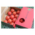 野菜類 トマト 予約商品 アグライズ 別嬪とまと撫子 約2kg