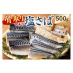 ふるさと納税 魚貝類 千葉県 南房総市  訳あり 骨取り塩さば 切身500g（500g×1袋） mi0012-0094 塩サバ 鯖 切り身 骨なし 骨取り 海鮮 魚介 おつまみ おかず …