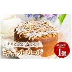焼菓子 チョコレート パウンドケーキ 受付終了間近
