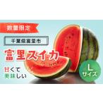 ショッピングふるさと納税 先行予約 ふるさと納税 千葉県 富里市 【先行予約】富里スイカ(Lサイズ)1玉  TMF005